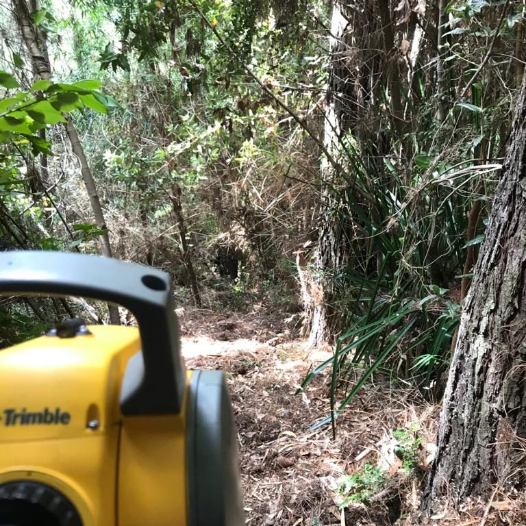 foto terreno arboles y tierra cuesta de soto